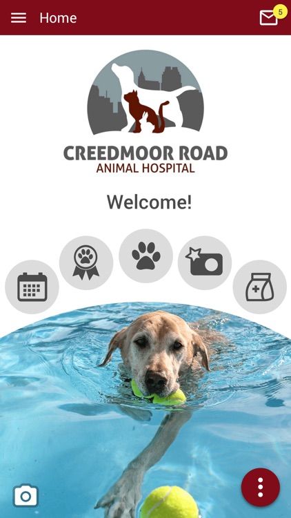 Creedmoor Rd Animal Hospital