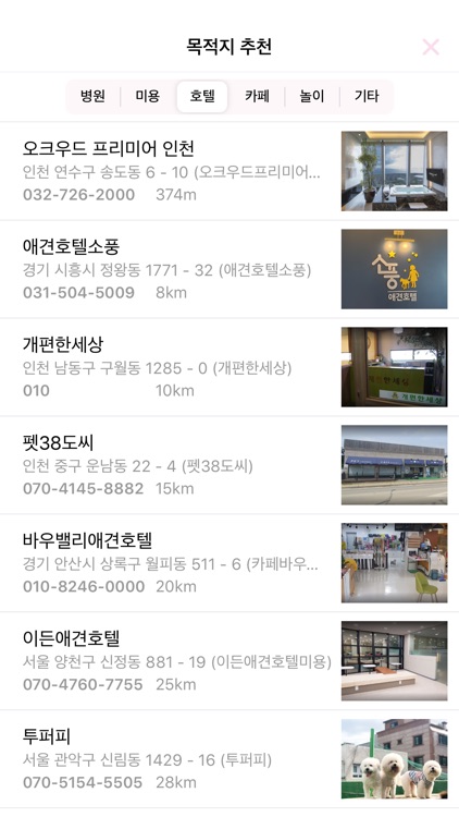 펫택시로 모시개냥