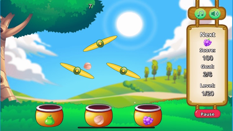 Splendid Fruit Classification