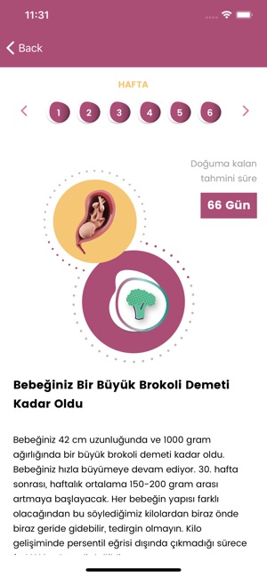 Gebbe On The App Store