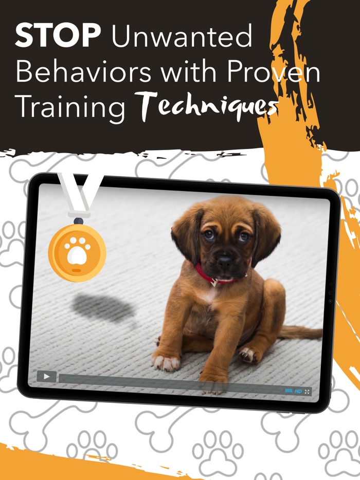 Puppy Training Chewy Tips App