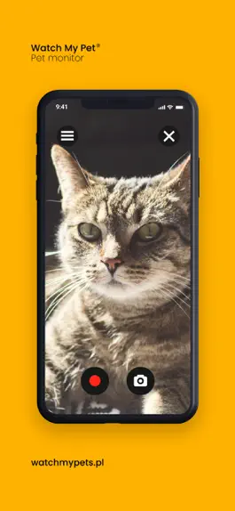 Game screenshot Watch My Pet - Pet Monitor hack