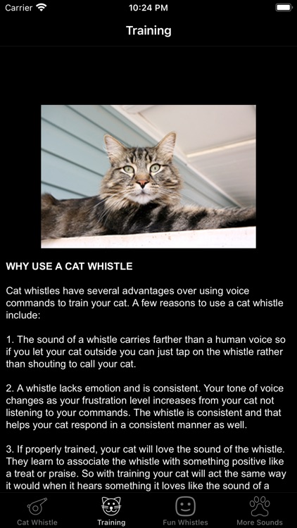 Cat Whistle & Training