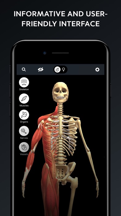 Human Body Atlas: 3D Medical screenshot 4