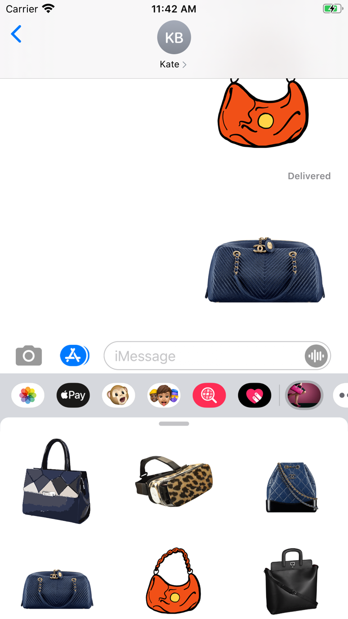 Fashion Handbag Collection