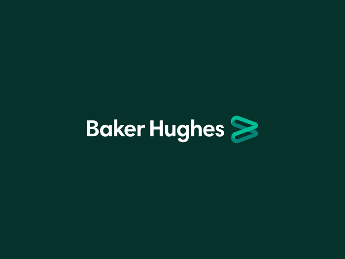 Baker Hughes FPS Go