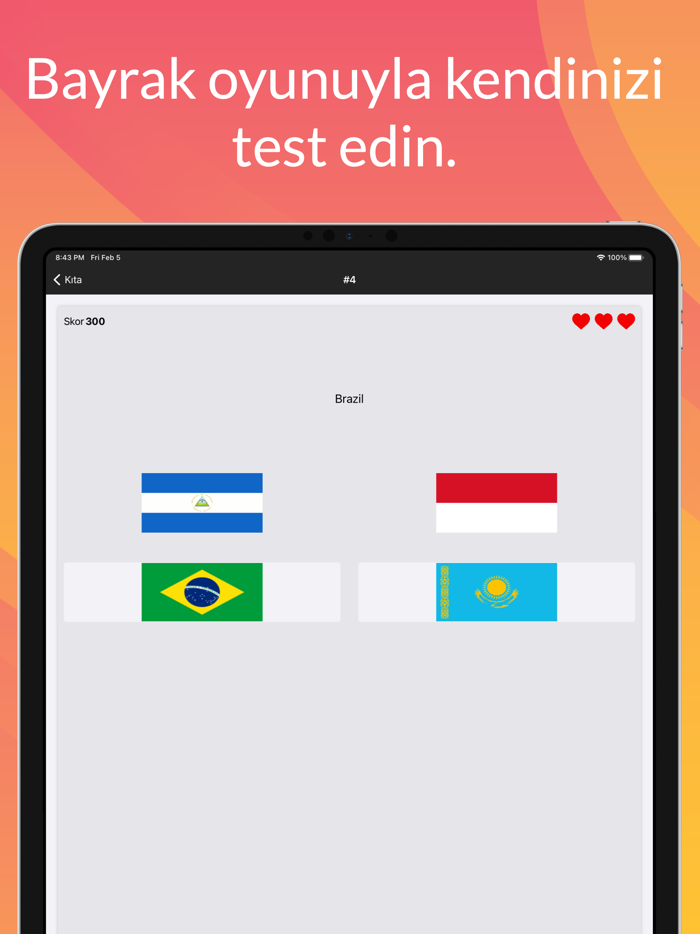 Ülkelerin Bayrakları