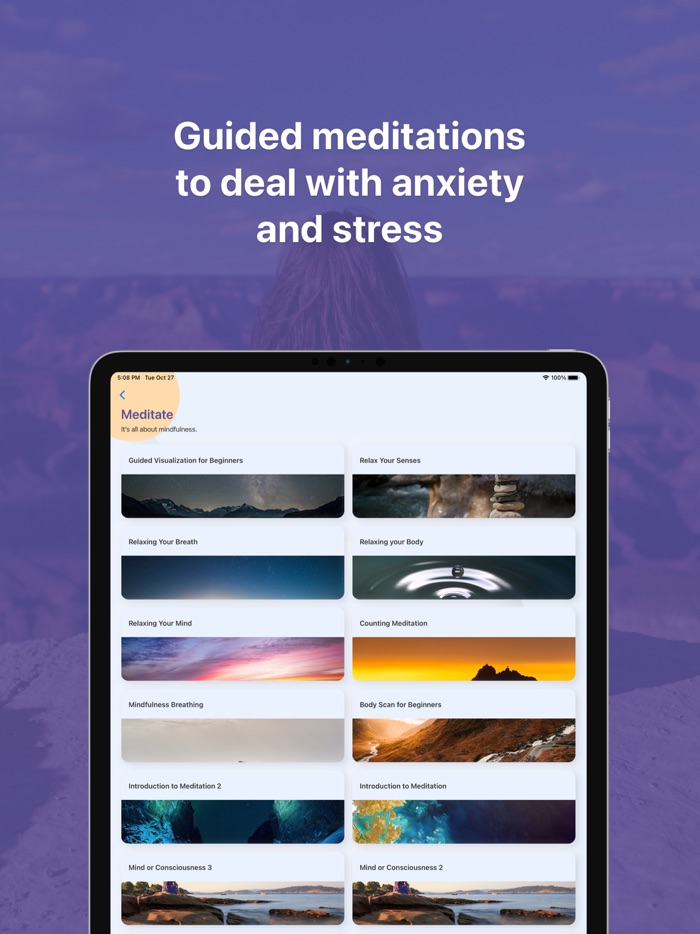 Bear Mind Meditation  Sleep