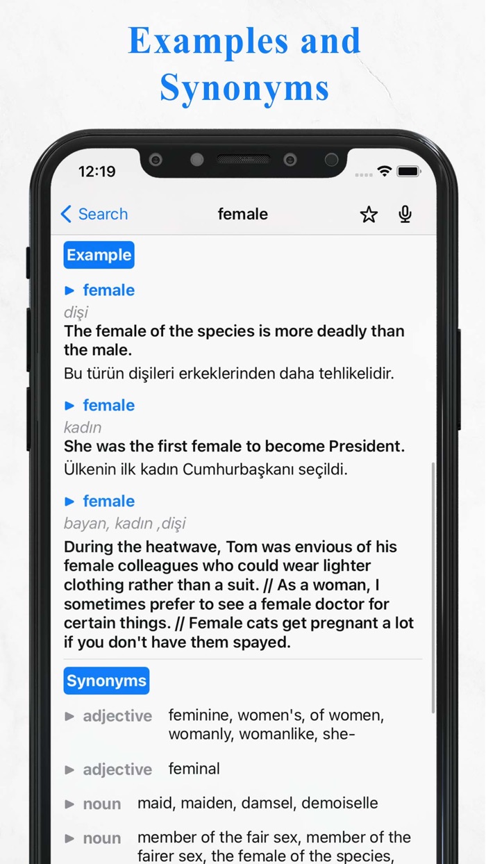 TurDict Turkish Dictionary