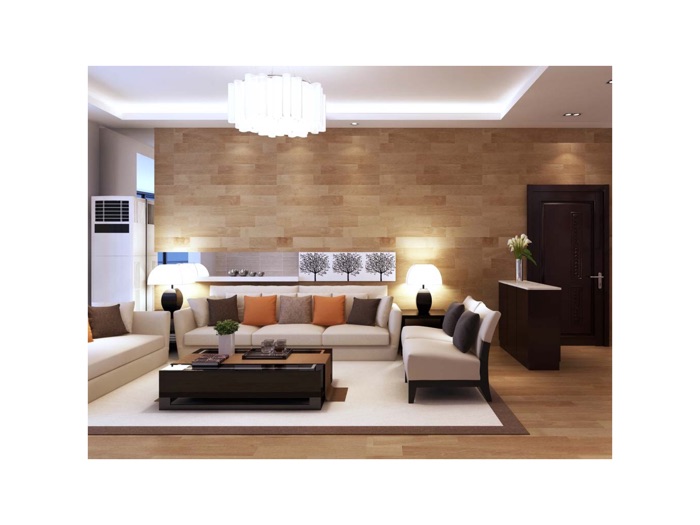 Living Room Design Idea Images