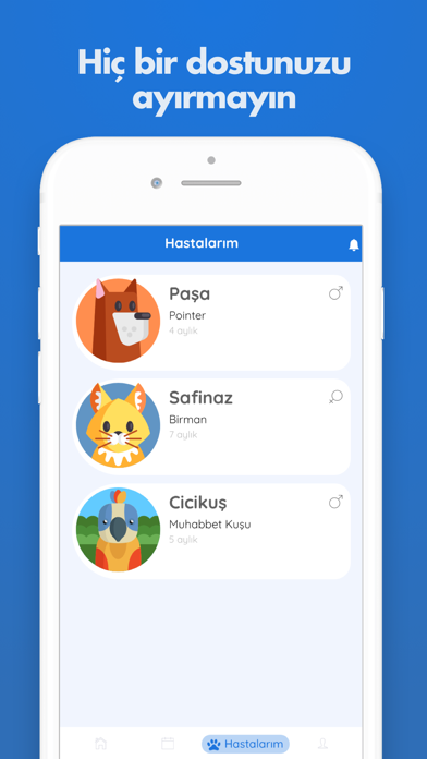 kolayvet-online-veteriner-ipad-screen-shot-4
