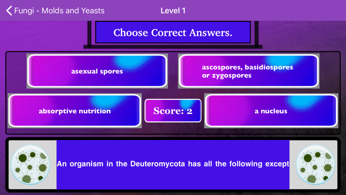Fungi - Molds and Yeasts