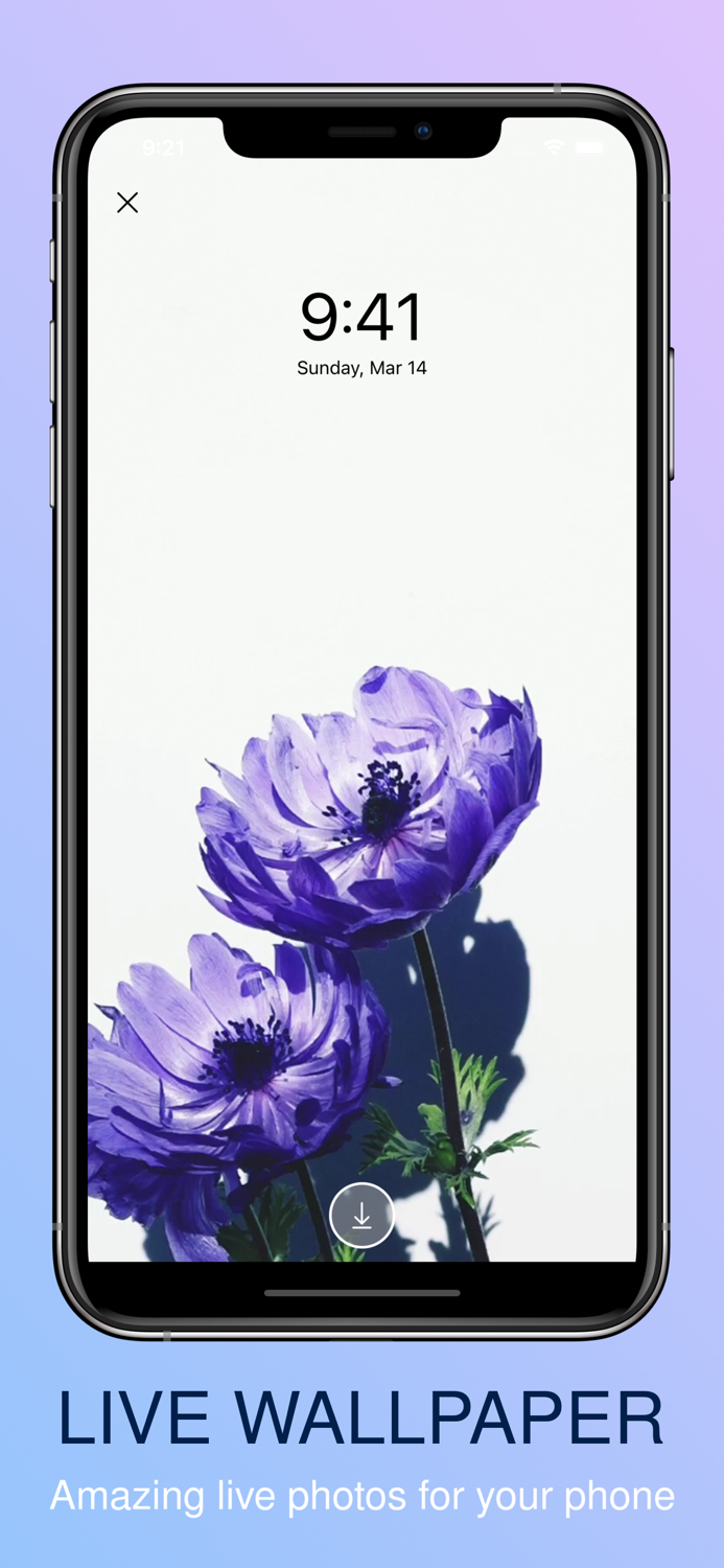 toV - live wallpapers  videos