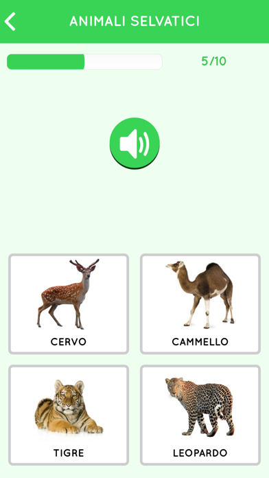 Learn Italian beginners screenshot 2