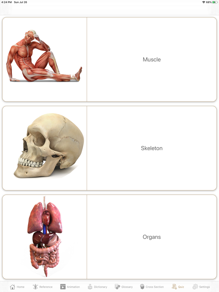 Anatomy at a Glance