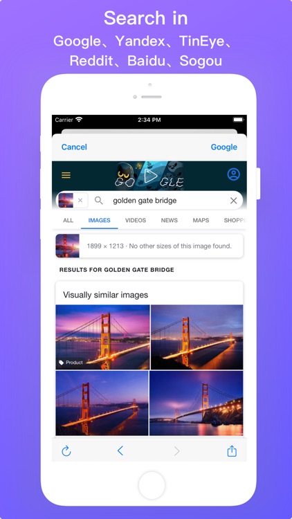 Power Reverse Image Search
