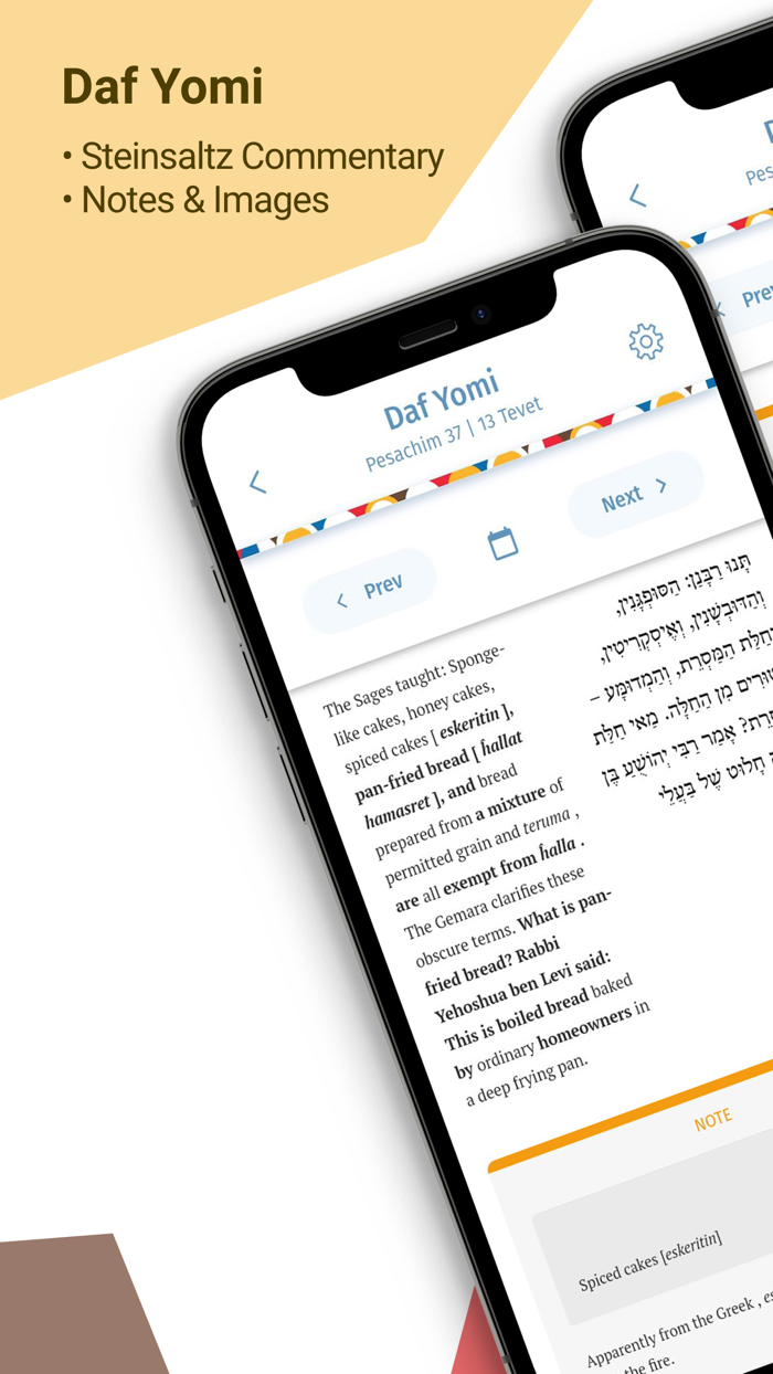 Steinsaltz Daily Study