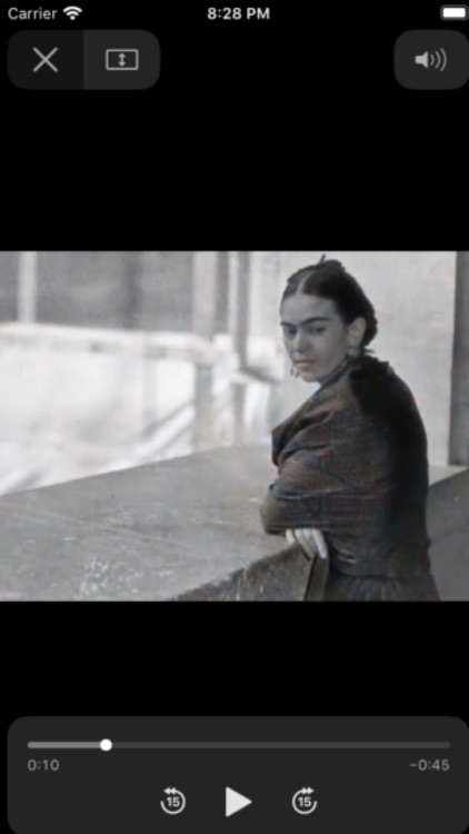 Frida Kahlo - The Exhibition screenshot-4