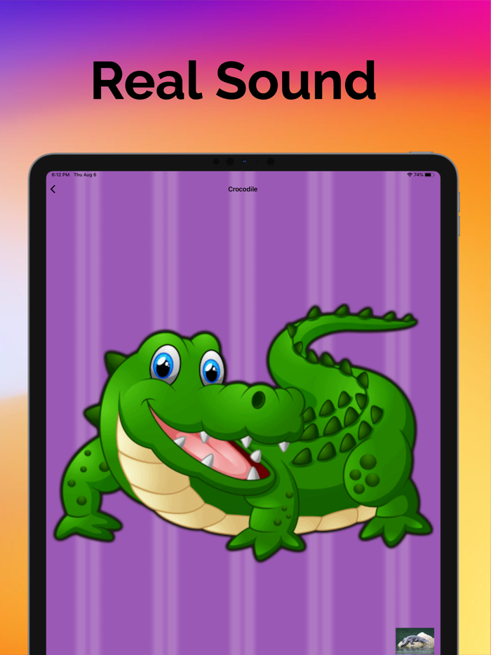 Sound Touch Animals Sound