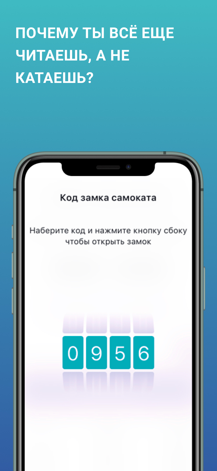 Seagull - ride with pleasure