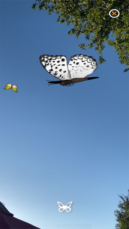 1001 Butterflies screenshot-5