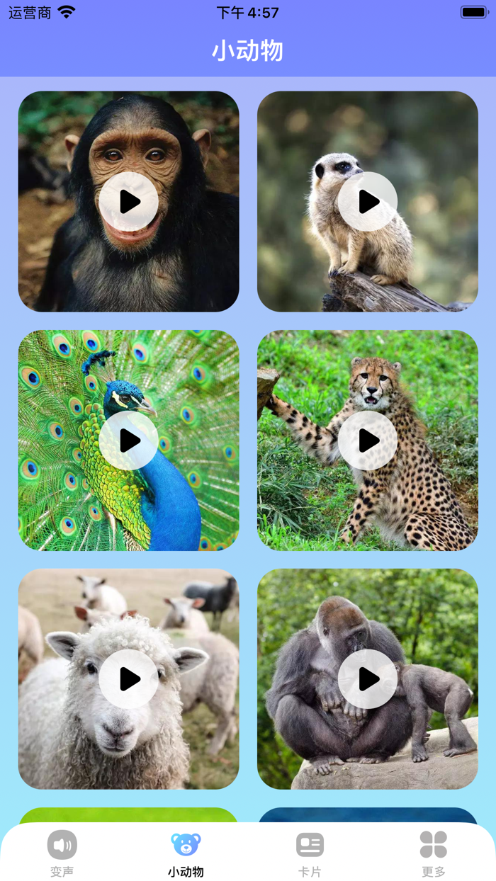 哄娃宝 - 哄娃开心动物变声器