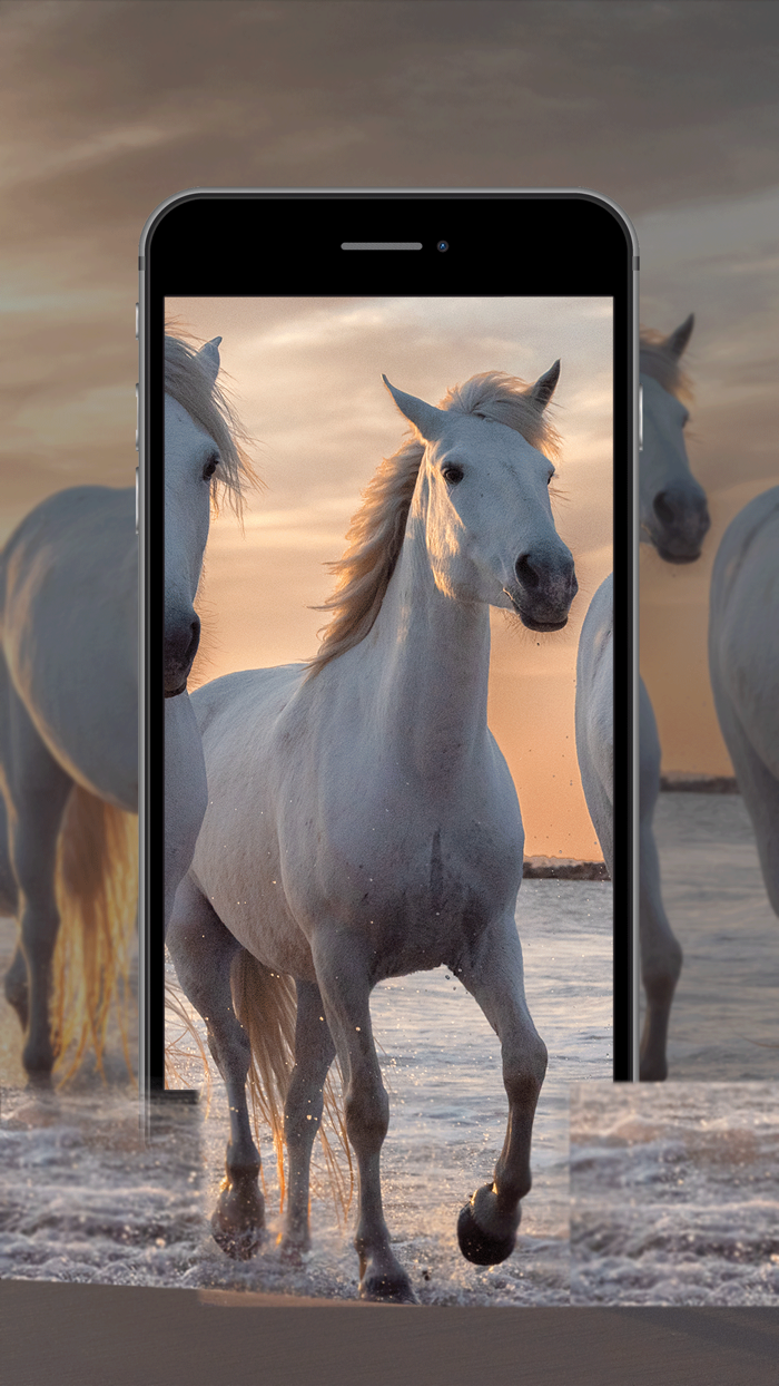 LV - 4K Live Wallpaper  Maker