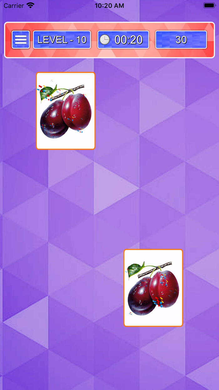 Picture Match Brain Game