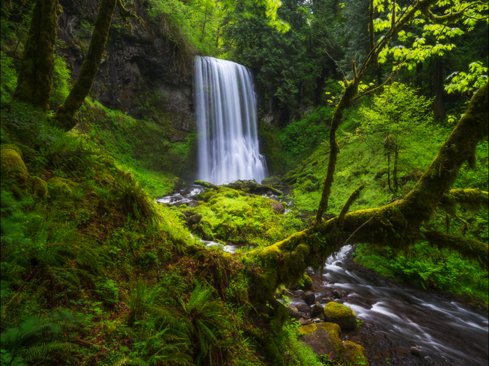 Tranquility-Natural Relaxation