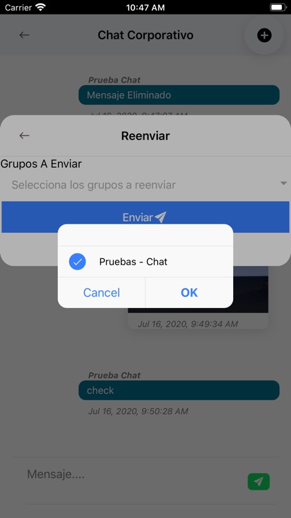 Chat Corporativo screenshot-3