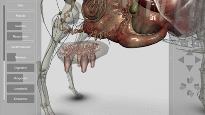 3D Bovine Anatomy screenshot1