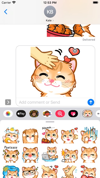 Rigel - BSH Cat Sticker