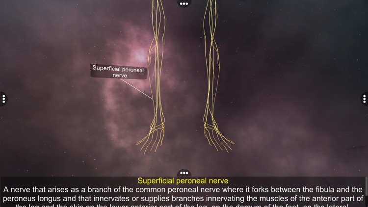 Human Nervous system screenshot-3