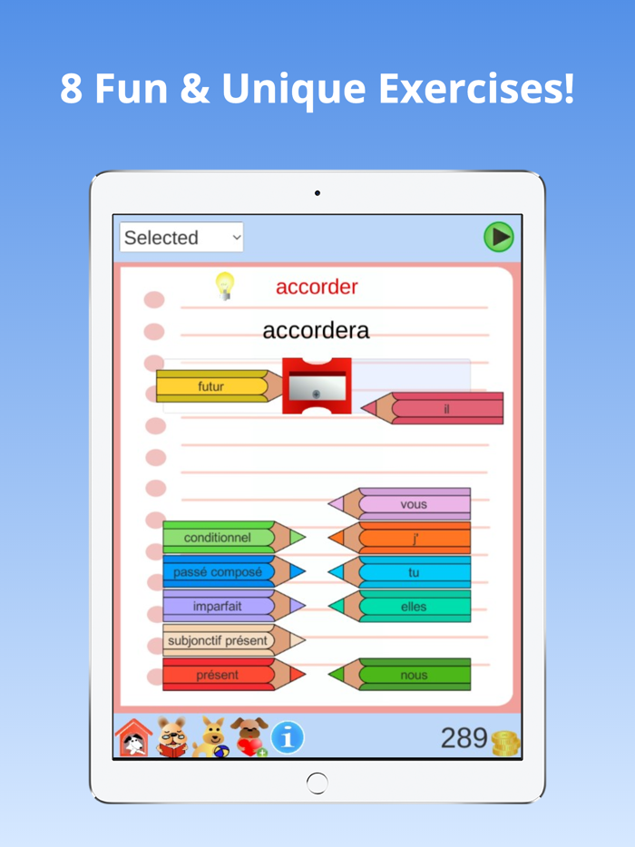Verb Conjugations French