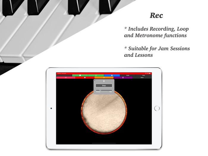 Djembe - Drum Percussion Pad