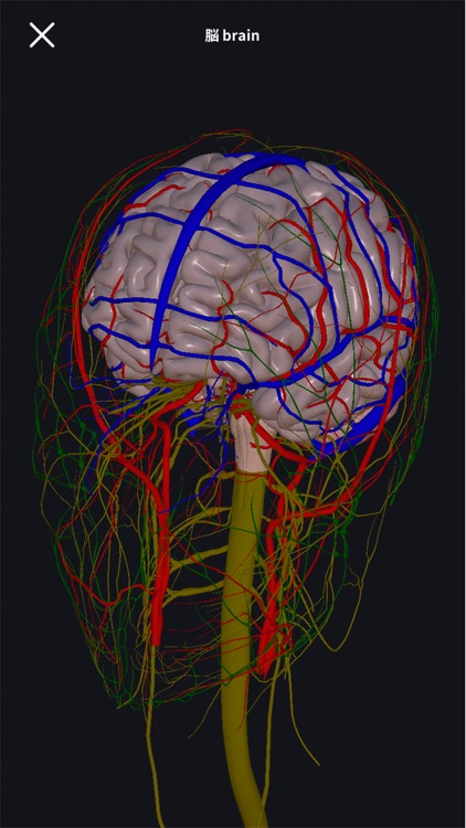 3D anatomy teamLabBody2020 screenshot-4