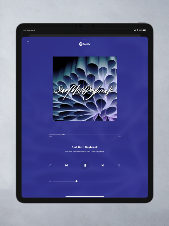 iPad Image of Bose Music