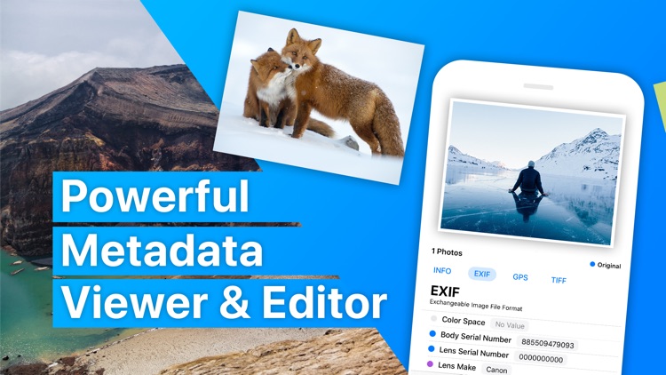 Exif Metadata Viewer & Editor