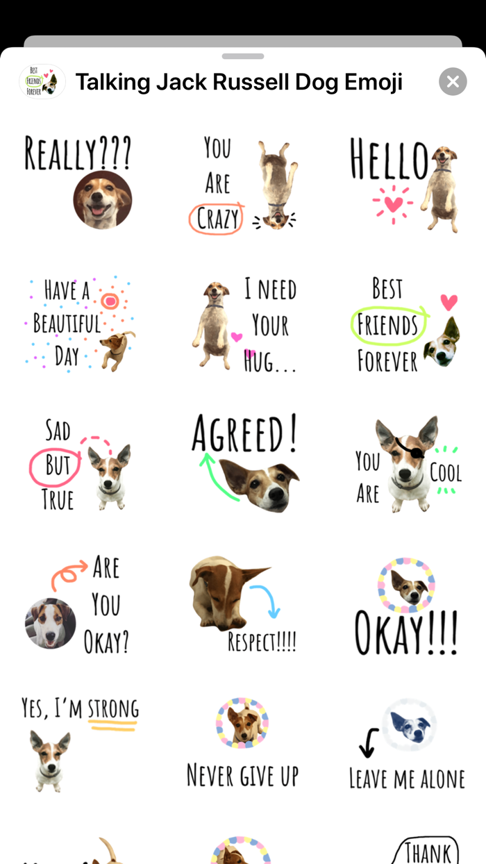 Talking Jack Russell Dog Emoji