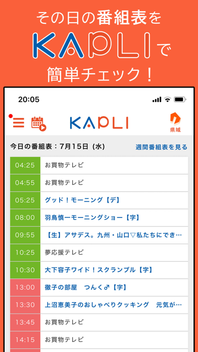 KAPLI screenshot 3