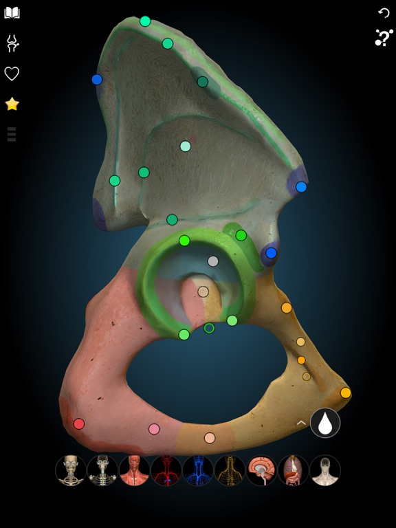 3D Anatomy Learning - Atlasのおすすめ画像9