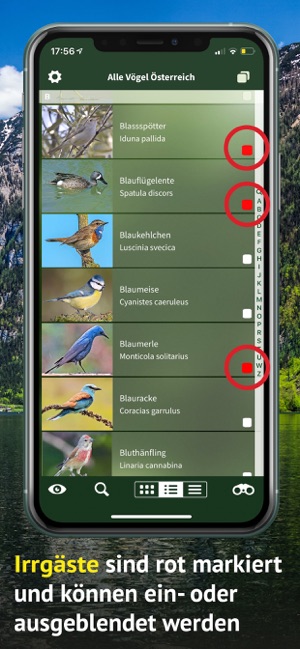 Alle Vögel Österreich(圖6)-速報App