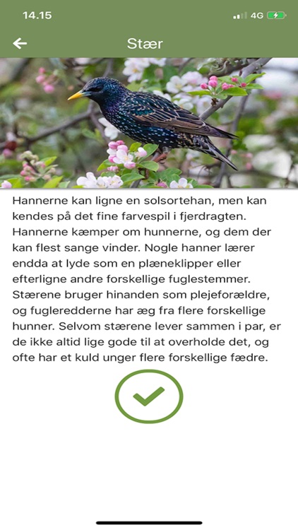 Naturappen