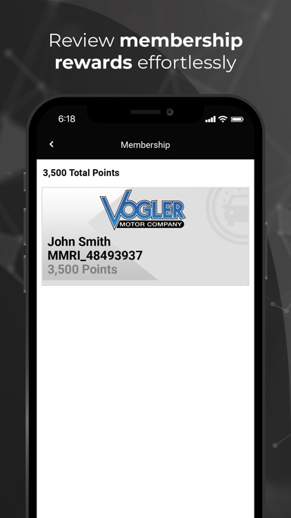 Vogler Ford VIP screenshot-5