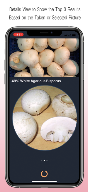 Mushroom Identifier(圖2)-速報App