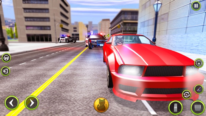 Thug Scary Cat Life Crime Auto