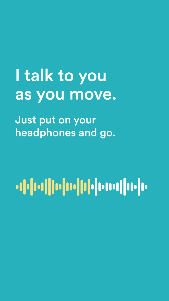 near virtual travel companion