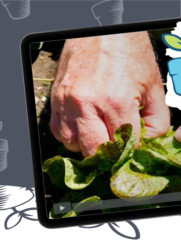 Simple Gardening Plant Garden