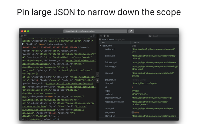 Lexi - JSON browser(圖4)-速報App