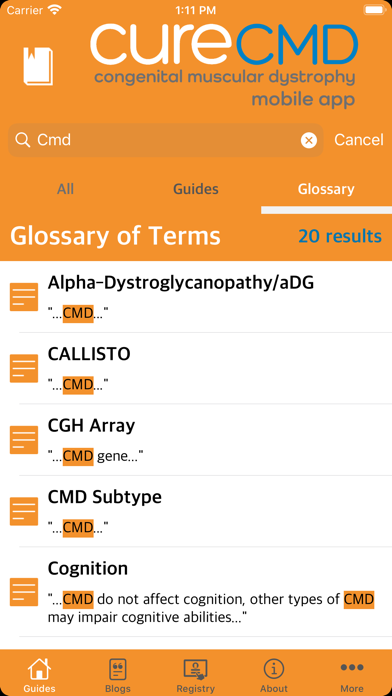 Cure CMD Guide screenshot 2